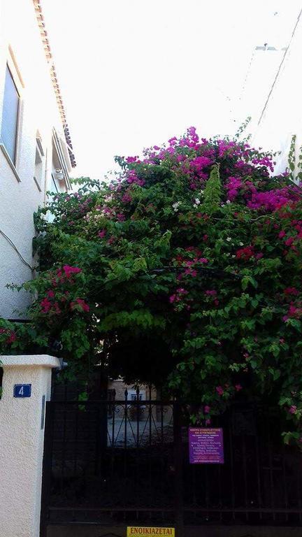 Aegina'S Flowers House Exteriör bild