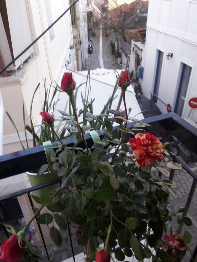Aegina'S Flowers House Exteriör bild