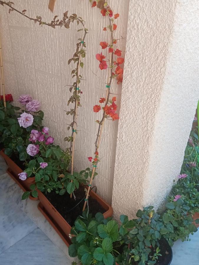 Aegina'S Flowers House Exteriör bild